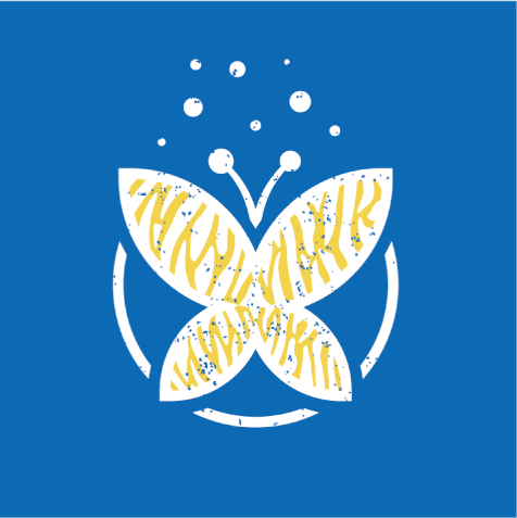 Identité-Les-Papillons-Bleus-Zébrés-C